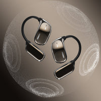 Lingo Pal earphones features