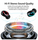 Mini Wireless Earbuds, Bluetooth 5.1 TWS with Charging Case, IPX7 Waterproof